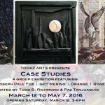 Topaz Arts presents Case Studies