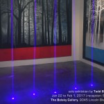 Dark Forest - solo exhibition by Todd Bradford Richmond